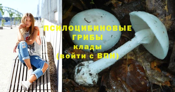 таблы Дмитриев