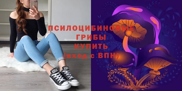 герыч Дмитровск